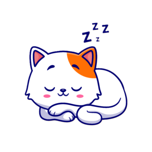 cat sleeping 
