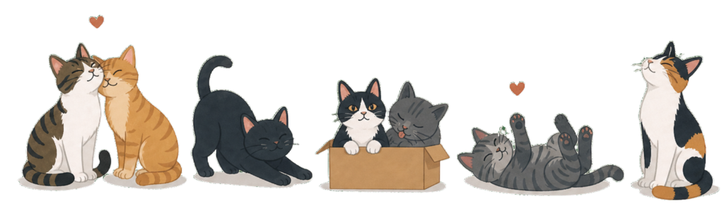 cats background