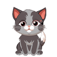 gray and white cat